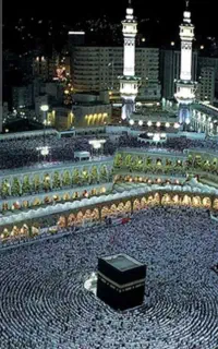 فروش دو عدد فیش حج تمتع