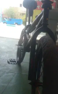 دوچرخه بیست حرفه ای