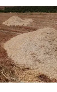 کاه گندم آبی