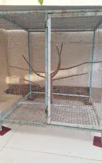 فروش قفس برای پرندگان