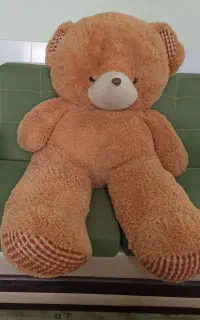 خرس مهربون