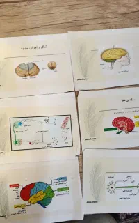 جزوه علوم هشتم