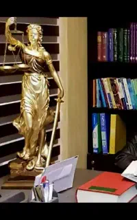 *وکیل دادگستری*