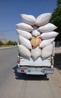 فروش کاه درجه یک رومشکان
