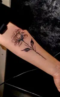 خدمات اجرا و آموزش تتوی بدن حرفه ای