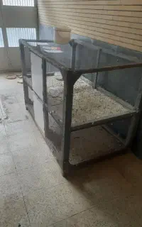 قفس مرغ وکبوتر