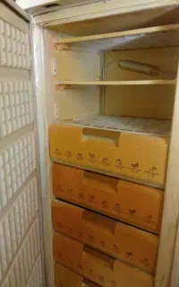 فریزر ارج