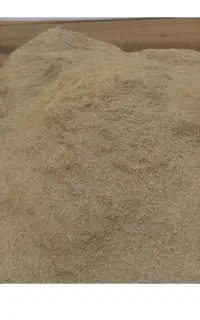 کارگر