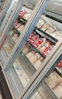 ران سایز مجلسی