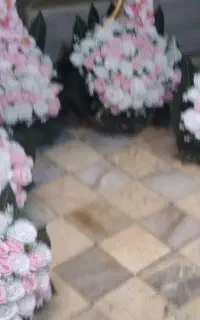 کرایه سفره عقد و بادکنک آرایی