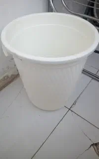 سطل