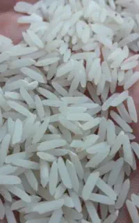 برنج فجر ۲۵کیلویی