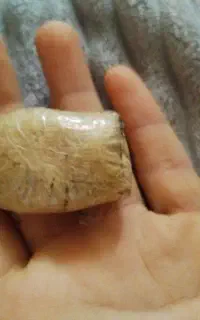 مهره اصل برای جذب