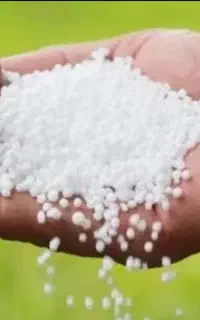 ۱ عدد‌کودسفید ۲۵۰۰
