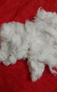 پنبه  تشک و بالشت