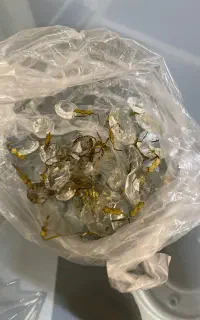 الماس و لاله ی لوستر