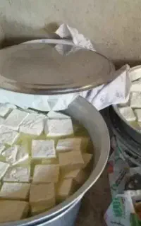 پنیر محلی اردبیل