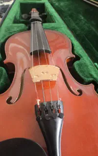 ویولن
