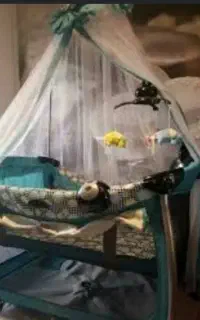 کالسکه ،تخت و پارک،روروئک وکریر از برند good baby