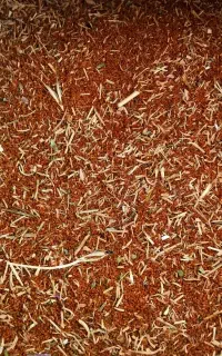 خاکشیر نمیمه تمیز