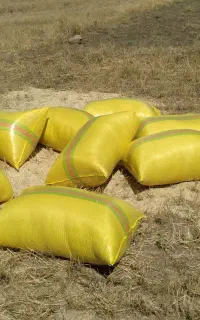 فروش کاه