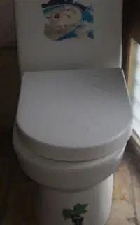 توالت فرنگی نو(اصلا استفاده نشده)