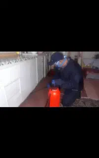 سمپاشی حشرات.موش.ساس.کک بامجوزبهداشت و100درصدتضمین