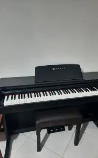 پیانو بیلیتز ۳۱۰