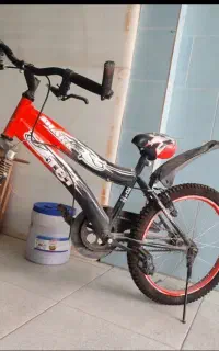 دوچرخه