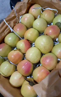 کنترل کیفی سردخانه ،نرم افزار حسابداری نوین پیشتاز