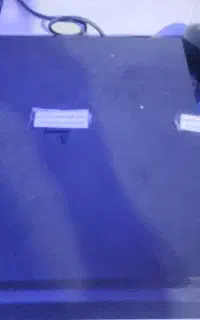 ps4 برای اجاره
