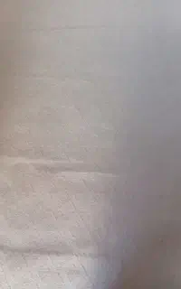 دو عدد موکت ۱۲متری  رنگ پیاز