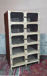 جفتگاه، قفس چوبی ، جفتکن