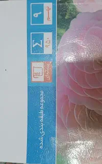 کتاب ریاضی قلم چی