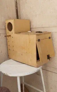 لانه تخم گذاری