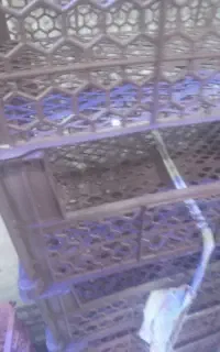 سبد میوه