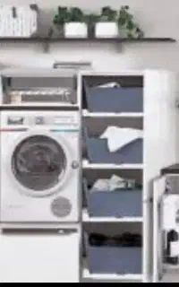 نیروی کار در خشک شوئی