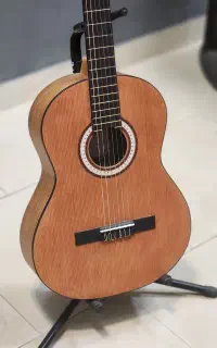 گیتار پارسی m3
