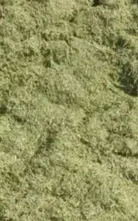 علوفه