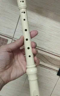 فولوت