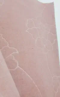 مشمولی