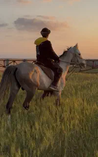 مله قوش مهربان