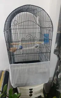 قفس  طوطی