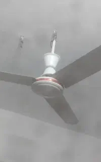 پنکه سقفی