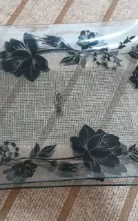 سینی شیشه ای