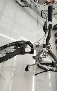 دوچرخه حرفه ای