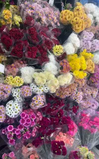 نیازمند فروشنده برای نمایشگاه گل و گیاه