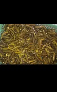 خیارشور تازه