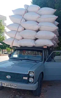 کاه گندم ولوبیاکاه نخودوعدس