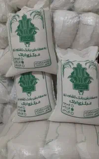 برنج هاشمی کشت امسال